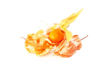 Cape Gooseberry