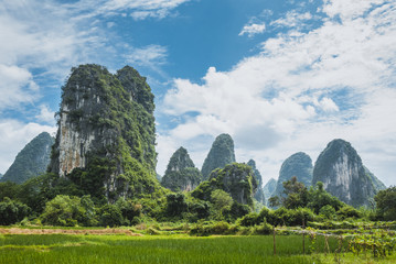 Curtains Karst mountains and rural scenery in summer
