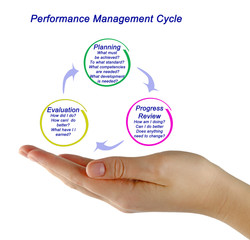 The Performance Management Process
