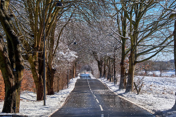 snowy february winterday in denmark