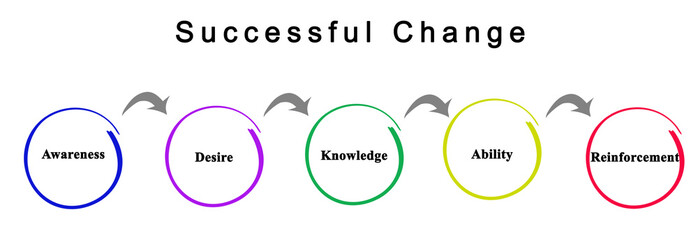 Successful Change