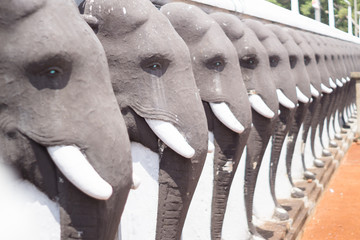 Anuradhapuras elephants