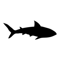 Black shark silhouette on white