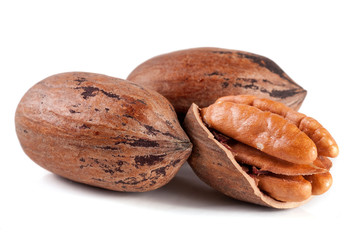Three pecan nuts isolated on white background