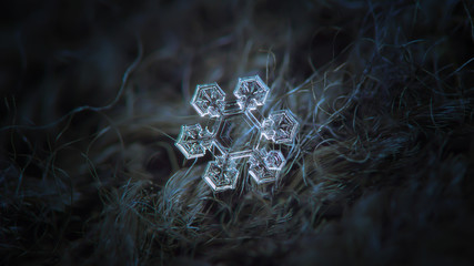 Snowflake glitter on dark woolen background. This is macro photo of real snow crystal: medium size...