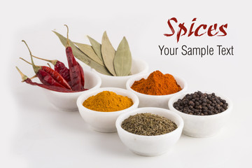 Indian spices