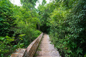 Panoramic view from down rocky stairs to wild green valley of tropical forest in jungle
