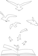 seagull contours flying above open book isolated on white