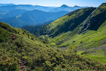 Fototapeta premium Gorge in the green hills