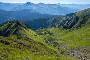 Fototapeta premium Wonderful gorge among green hills at sunny spring day