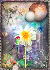 Poster Verzauberte und märchenhafte Frühlingslandschaft mit bunten Blumen, Schmetterlingen und Mond © Rosario Rizzo