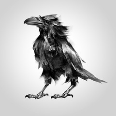 painted bird crows sitting isolated