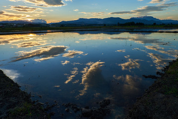 beautiful sunset at the field.