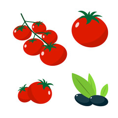 Set of different tomatoes and olives isolated on background. Vector illustration.