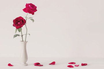 still life of red rose in vase - obrazy, fototapety, plakaty
