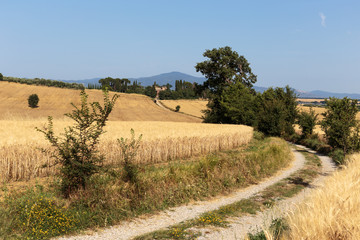 Fototapeta na wymiar deserted country road in Italy