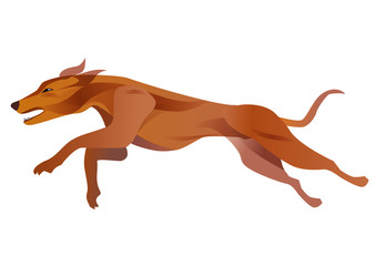 Fototapeta na wymiar Running race dog. Stylized illustration of a greyhound dog.Isolated white background. Vector available.