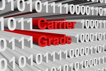 carrier grade in the form of binary code, 3D illustration