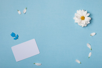 Spring top view composition:  business / credit / visiting card mockup,  scattered petals around, white flower with yellow heart. Sky blue background with copy space for text. Flat lay.