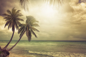 Panele Szklane Podświetlane  tropikalna plaża z palmami kokosowymi