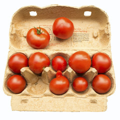 red tomatoes in a Carton for eggs, isolated