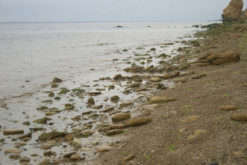 Marine stone beach with seaweed on the shore
