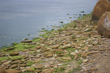 Marine stone beach with seaweed on the shore
