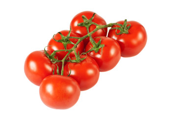 Tomatoes with branch