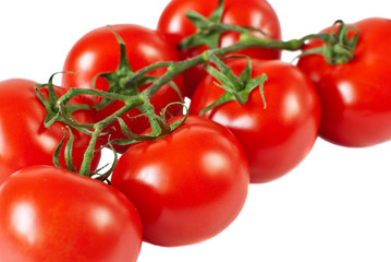 Tomatoes with branch