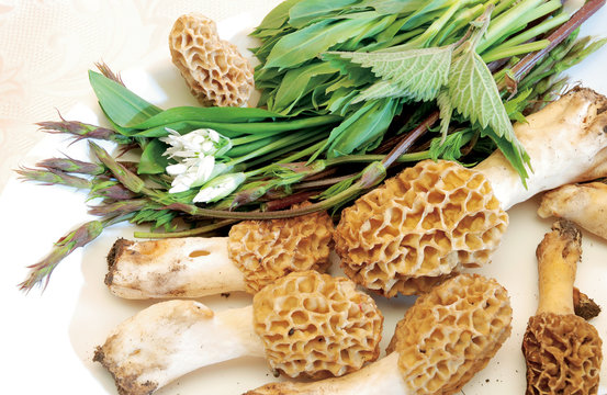 Morel mushrooms with mixed herbs.