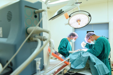 two veterinarian surgeons in operating room