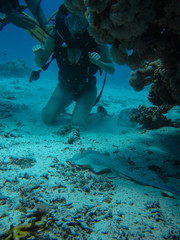 Young woman looking on a small slope while diving with scuba