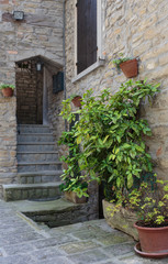 Fototapeta na wymiar Patio in the old town in Italy