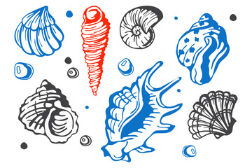Sea marine shells hand drawn sketch vector illustration.