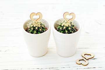 Love hearts cacti with wooden and natural rope on a wooden background