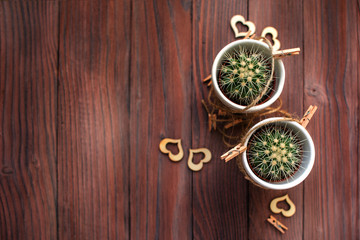 Love hearts cacti with wooden and natural rope on a wooden background