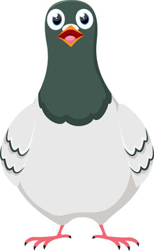 Happy Pigeon cartoon character