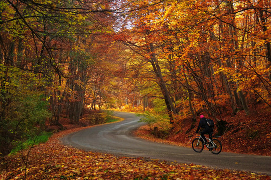Fototapeta Man riding a bike on a curved road in autumn scenery