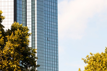 Modern glass and steel skyscraper with trees