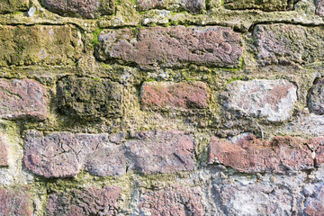 Details of a historic brick wall with moss and limescales - perfect for grunge backgrounds