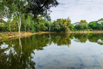 Fototapeta na wymiar Reserved water at community pond