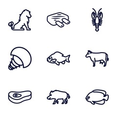 Set of 9 animal outline icons