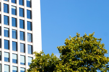 Modern glass and steel skyscraper with trees