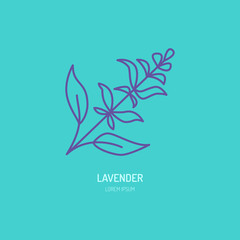 Vector line icon of lavender bunch. Herbal essential oils sign, floral aroma.
