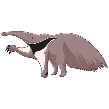 Cartoon smiling Anteater