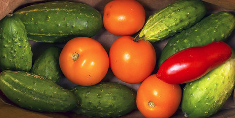 Fresh cucumbers and tomatoes in a paper package.