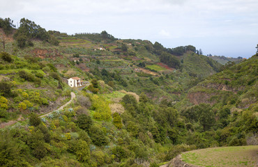 Fototapeta premium central Gran Canaria in February