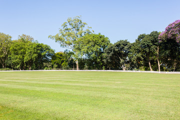 Cricket field outfield boundary fence grounds