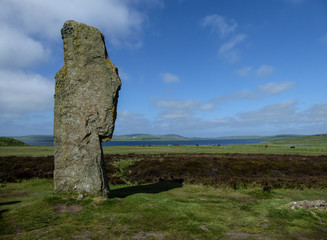 Ancient monolithic stone standing in field near ocean