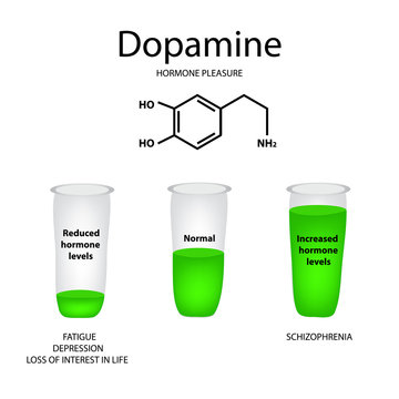 Chemical molecular formula hormone dopamine. The hormone pleasure. Lowering and raising of dopamine. Infographics Vector illustration